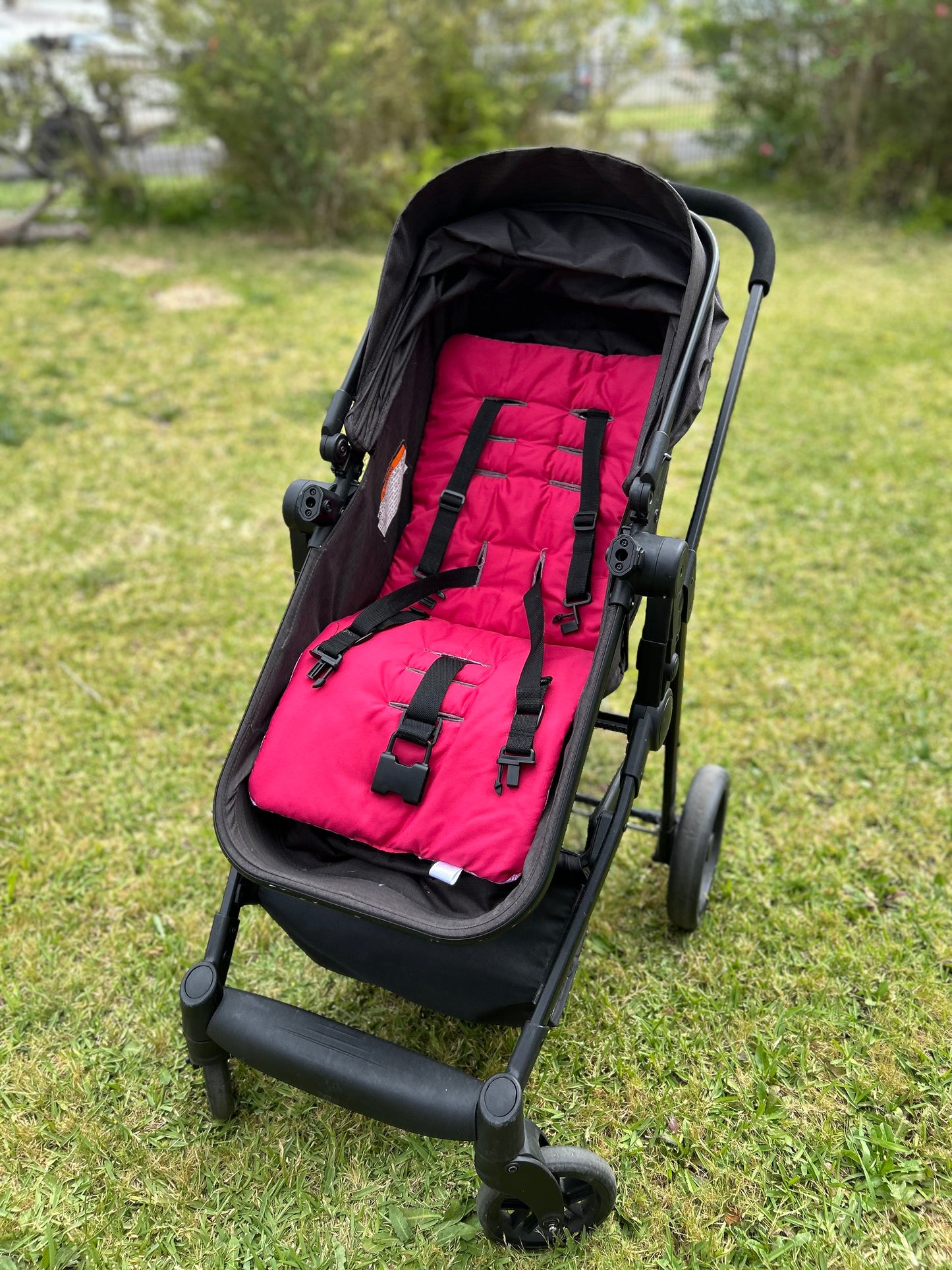 Christmas Whispers Collection - Peppermint Pink