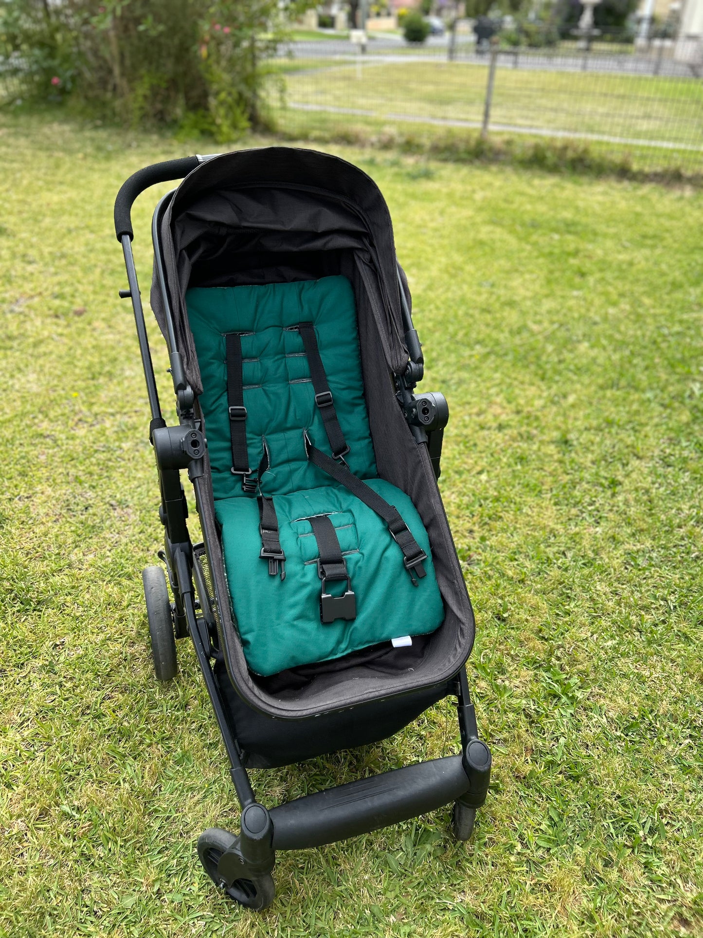 Christmas Whispers Collection - Evergreen